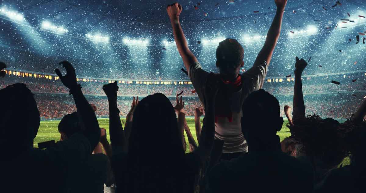 Fan Experience Support
